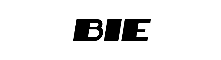 Bigger Book Italic  Free Fonts Download