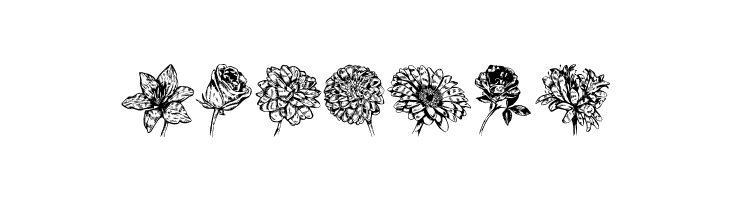 Blumen Regular  Free Fonts Download