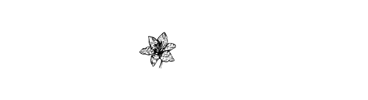 Blumen Regular  Free Fonts Download