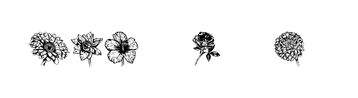 Blumen Regular  Free Fonts Download