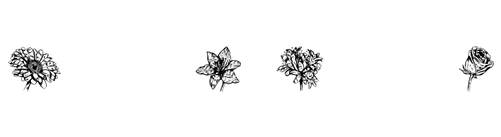 Blumen Regular  Free Fonts Download
