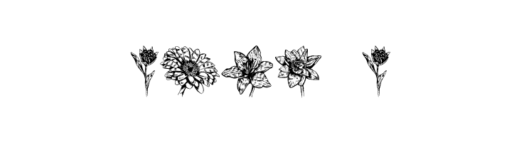 Blumen Regular  Free Fonts Download