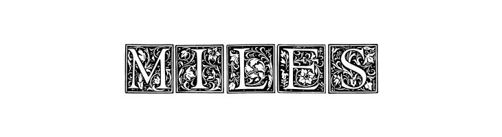 Floral Capitals Regular  Free Fonts Download