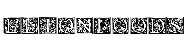 Floral Capitals Regular  Free Fonts Download