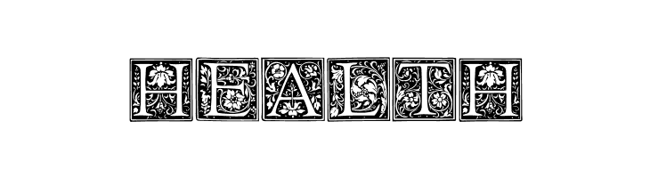 Floral Capitals Regular  Free Fonts Download