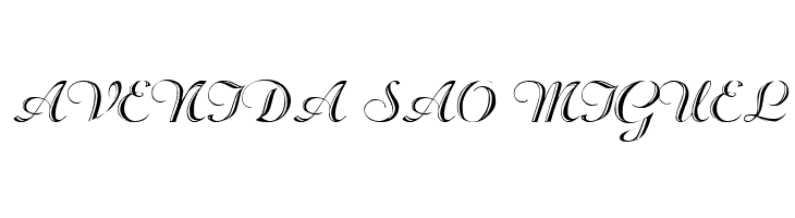 Beachman Script  Free Fonts Download