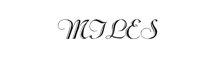 Beachman Script  Free Fonts Download