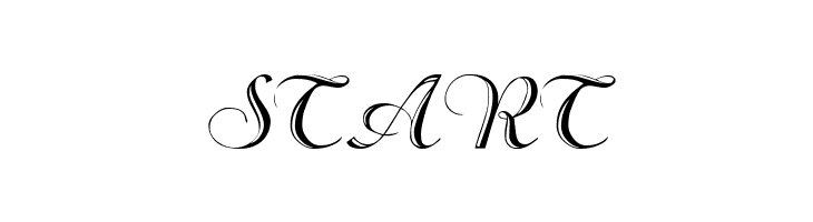 Beachman Script  Free Fonts Download