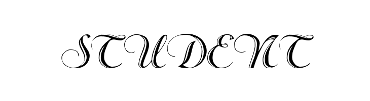 Beachman Script  Free Fonts Download