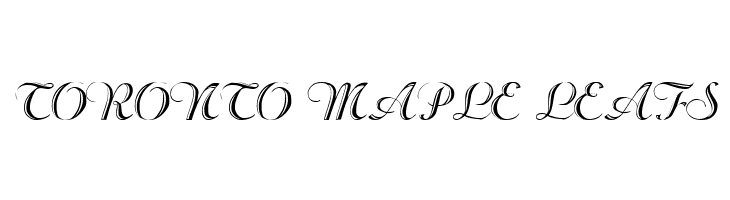 Beachman Script  Free Fonts Download