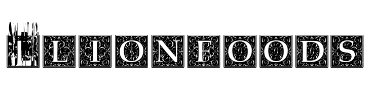 Baroque Explosion  Free Fonts Download