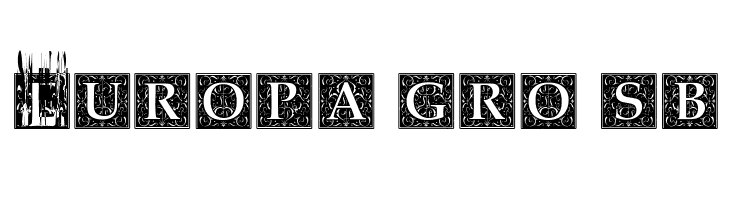 Baroque Explosion  Free Fonts Download