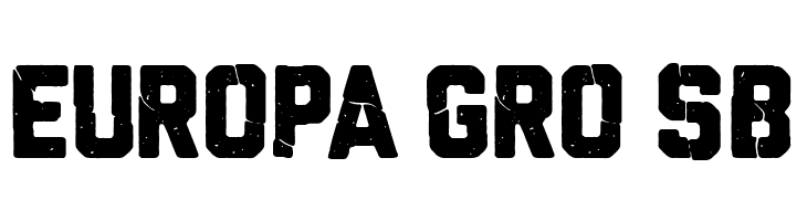 MMA champ  Free Fonts Download