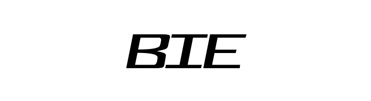 FonderianItalic  Free Fonts Download