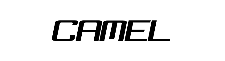 FonderianItalic  Free Fonts Download