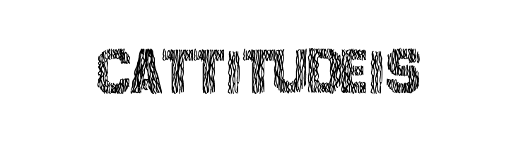 SurfPoint  Free Fonts Download