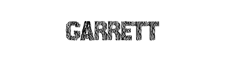 SurfPoint  Free Fonts Download