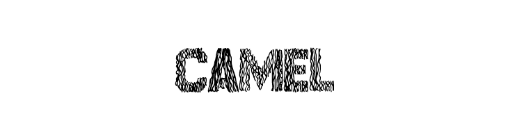 SurfPoint  Free Fonts Download