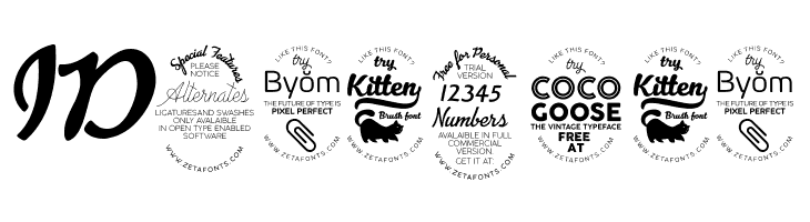 Advertising Script Bold  Free Fonts Download