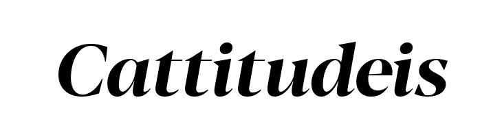 Blacker Display Bold Italic  Free Fonts Download