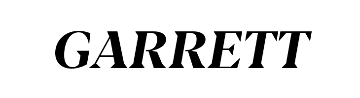 Blacker Display Bold Italic  Free Fonts Download