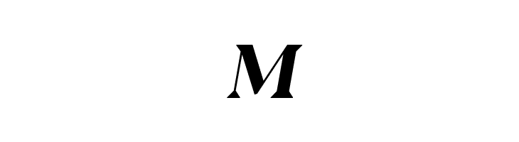 Blacker Display Bold Italic  Free Fonts Download