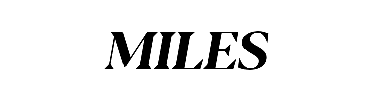 Blacker Display Bold Italic  Free Fonts Download