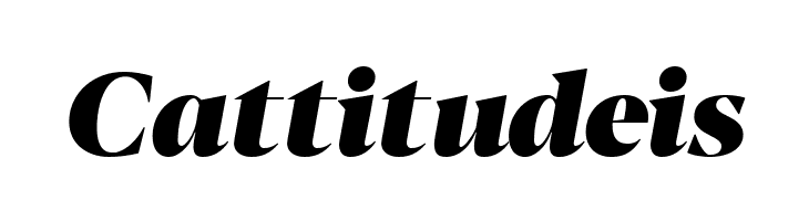 Blacker Display Heavy Italic  Free Fonts Download