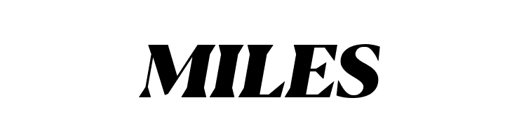 Blacker Display Heavy Italic  Free Fonts Download