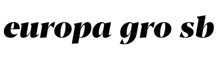 Blacker Display Heavy Italic  Free Fonts Download