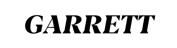 Blacker Display ExtraBold Italic  Free Fonts Download