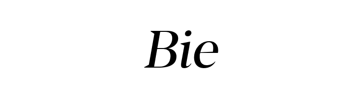 Blacker Display Italic  Free Fonts Download