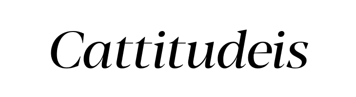 Blacker Display Italic  Free Fonts Download