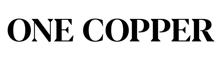 Blacker Display Bold  Free Fonts Download