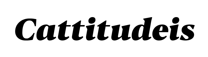 Blacker Text Heavy Italic  Free Fonts Download