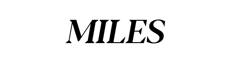 Blacker Display Medium Italic  Free Fonts Download