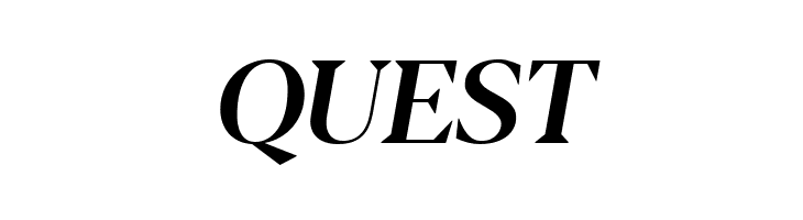 Blacker Display Medium Italic  Free Fonts Download