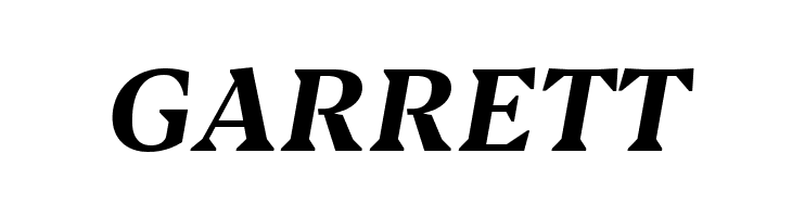 Blacker Text Bold Italic  Free Fonts Download