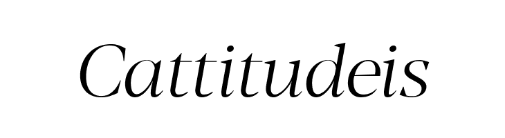 Blacker Display Light Italic  Free Fonts Download