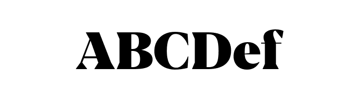 Blacker Display Heavy  Free Fonts Download