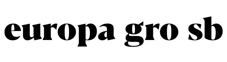 Blacker Display Heavy  Free Fonts Download