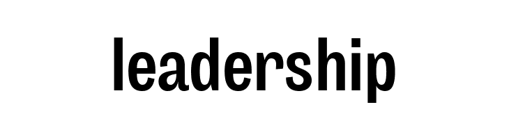 Body Grotesque Slim Bold  Free Fonts Download