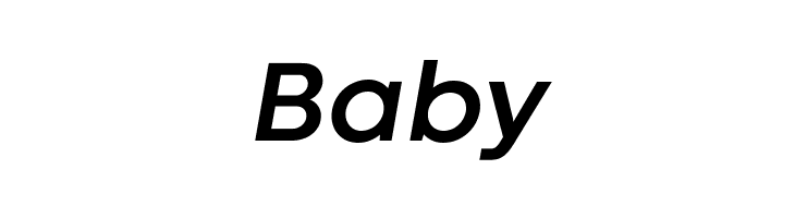 Codec Warm Trial Bold Italic  Free Fonts Download