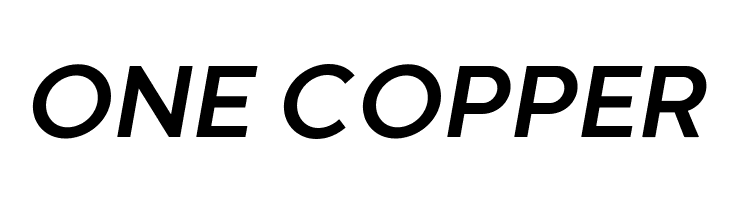 Codec Warm Trial Bold Italic  Free Fonts Download