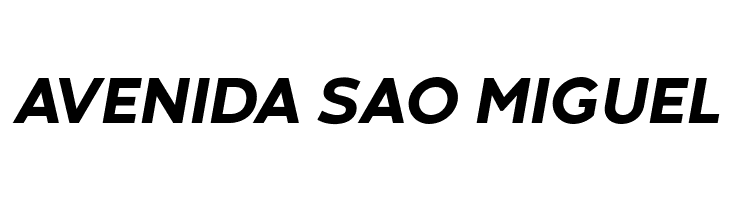 Codec Warm Trial ExtraBold Italic  Free Fonts Download