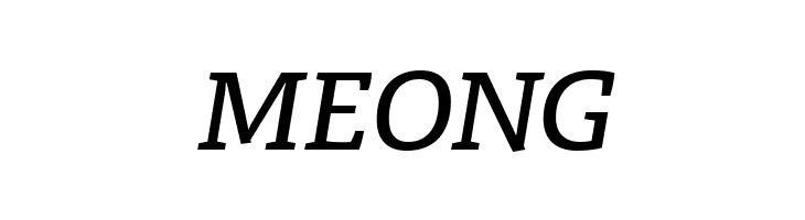 Radcliffe Text Medium Italic  Free Fonts Download