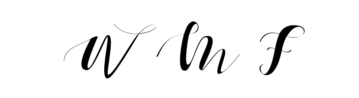 Ectomorph  Free Fonts Download