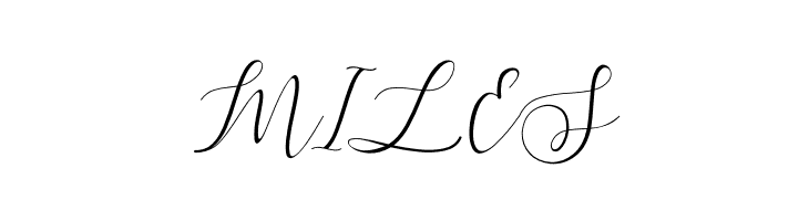 Letternisa  Free Fonts Download