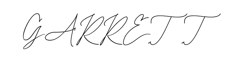 The Attention  Free Fonts Download