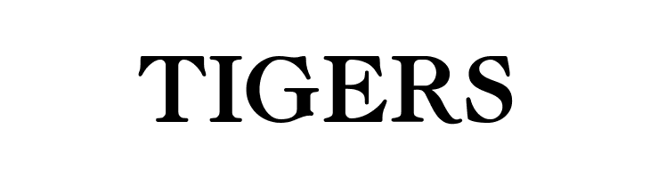 Fairfax Station NF  Free Fonts Download